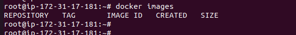 Checking an docker images